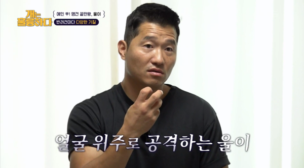 9일 방송된 KBS 2TV 프로그램 '개는 훌륭하다' 방송 장면&nbsp;ⓒ&nbsp;KBS 2TV