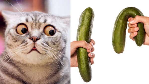 기사의 이해를 돕기 위한 자료사진. ⓒAdobe Stock