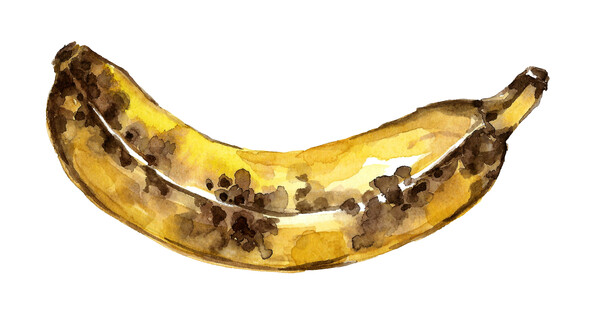 잘 익은 노란 바나나에는 항산화 성분 풍부해. ⓒ어도비스톡