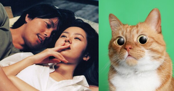 연인 없이도 '옥시토신' 높이는 법 있다? ⓒCJ엔터테인먼트, 어도비스톡