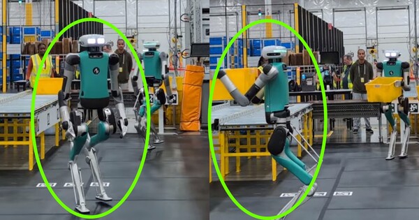 물건을 옮기는 디짓. ⓒPortaltic 유튜브