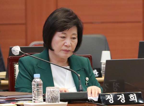 정경희 의원. ⓒ뉴스1