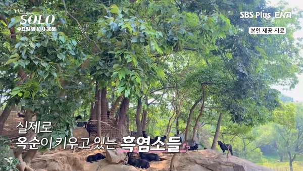 옥순의 흑염소 목장 모습. ⓒSBS PLUS·ENA