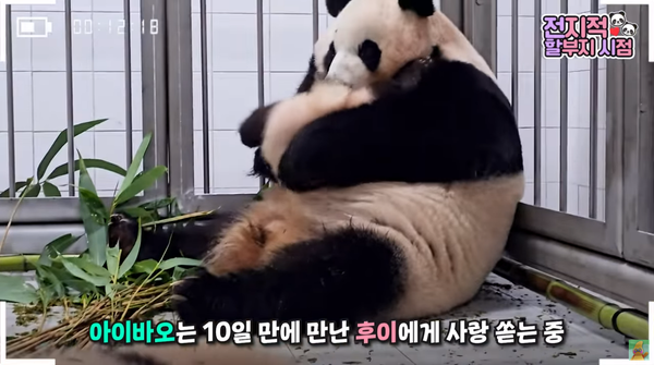 지난 6일 유튜브 채널 '말하는동물원 뿌빠TV' 영상 장면&nbsp;©말하는동물원 뿌빠TV