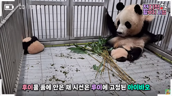 지난 6일 유튜브 채널 '말하는동물원 뿌빠TV' 영상 장면&nbsp;©말하는동물원 뿌빠TV