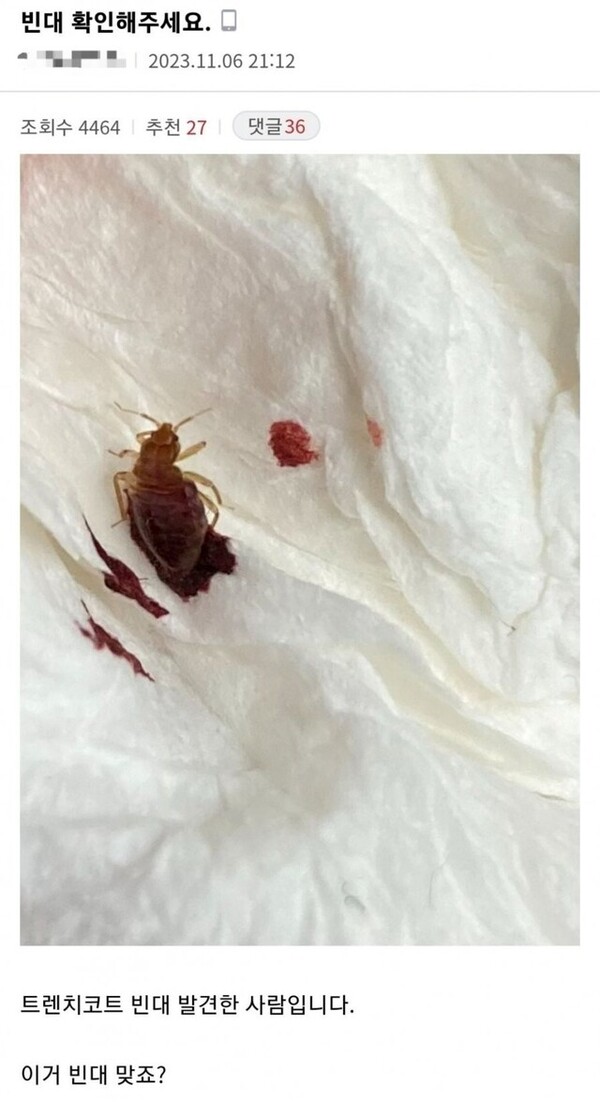 6일 한 온라인 커뮤니티에 올라온 빈대 발견 글. 글쓴이는 기차와 지하철을 이용했다고 밝혔다. 온라인 커뮤니티 갈무리