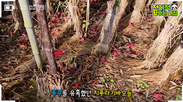 지난 17일 유튜브 채널 '말하는동물원 뿌빠TV' 영상 장면 ⓒ말하는동물원 뿌빠TV&nbsp;