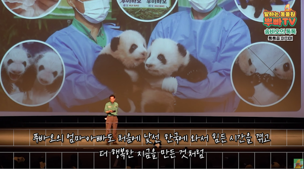 6일 유튜브 채널 '말하는동물원 뿌빠tv' 토크 콘서트 영상 장면 ⓒ말하는동물원 뿌빠tv