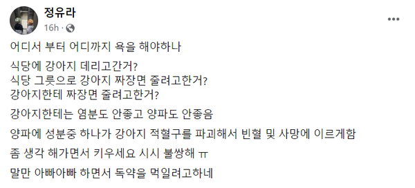 정유연의 비판. ⓒ정유연 페이스북