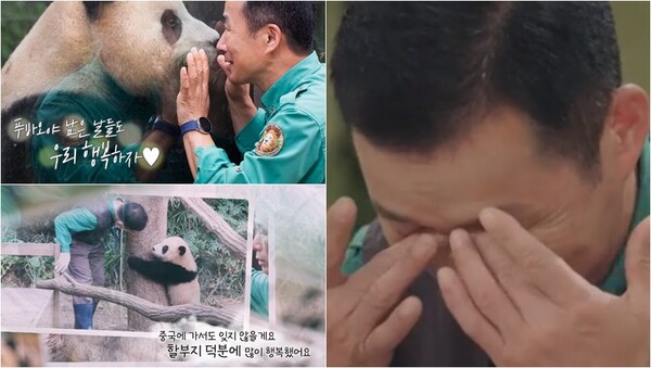 이별을 앞둔 푸바오와 강철원 사육사. ⓒSBS ‘푸바오와 할부지’