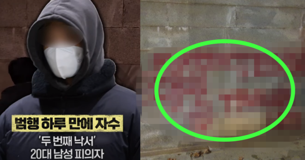 경복궁 '두 번째 낙서 테러' 모방범인 20대 남성 피의자/경복궁 담벼락 스프레이 낙서 모방범이 남긴 낙서. ⓒMBN 뉴스 보도 화면 캡쳐/경복궁 낙서 2차 테러 용의자 블로그