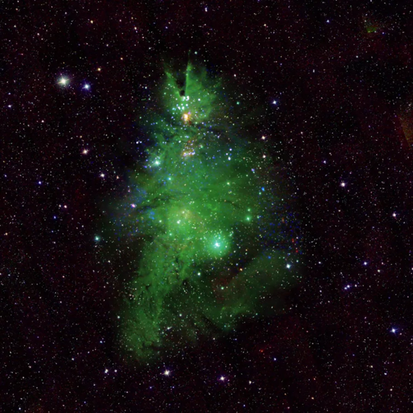 크리스마스 트리를 빼닮은 NGC 2264. ⓒNASA