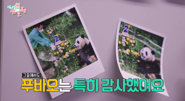 6일 방송된 MBC 예능 프로그램 '전지적 참견 시점' 방송 장면 ⓒMBC&nbsp;
