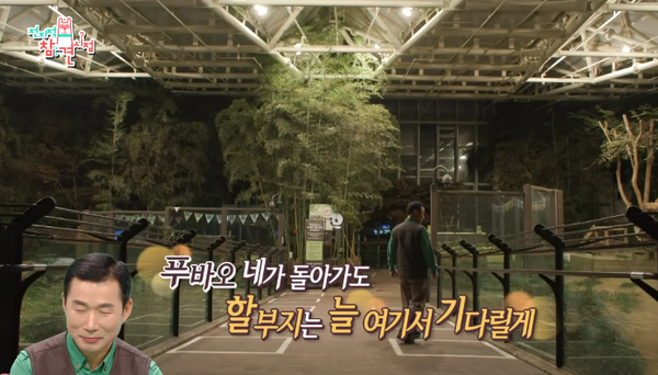 6일 방송된 MBC 예능 프로그램 '전지적 참견 시점' 방송 장면 ⓒMBC&nbsp;