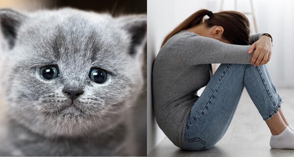 기사와 무관한 자료사진 ⓒAdobe Stock