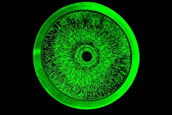 원형의 비누막. A. Monier, B. Gay-Para, C. Claudet, F. Celestini, C. Brouzet, C. Raufaste /Institut de physique de Nice (INPHYNI)/한겨레