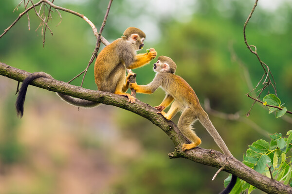기사의 이해를 돕기 위한 자료사진&nbsp;ⓒAdobe Stock