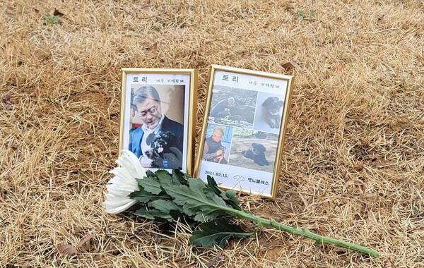 토리의 추모 현장 ⓒ문재인 전 대통령의 인스타그램