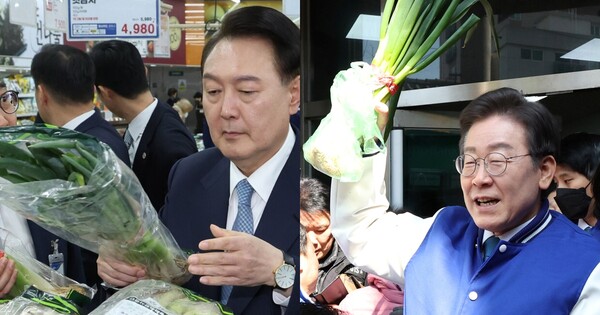 대파의 가격은? ⓒ뉴스1