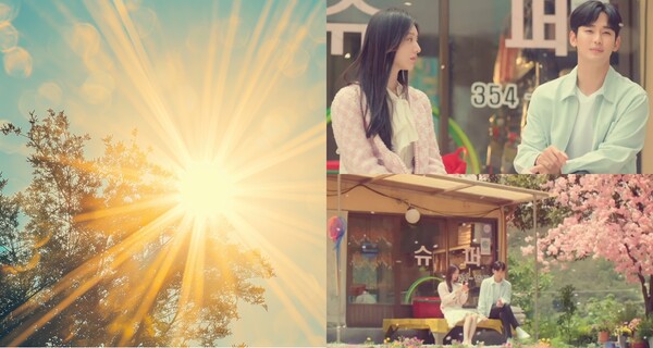 기사의 이해를 돕기 위한 자료사진, '눈물의 여왕' 장면 캡처 ⓒAdobe Stock, tvN 