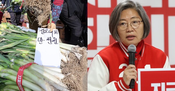 설 명절을 앞둔 4일 오후 서울 동대문구 경동시장에서 대파가 진열돼 있다. 2024.2.4(좌), 국민의힘 소속 이수정 후보(우) ⓒ뉴스1