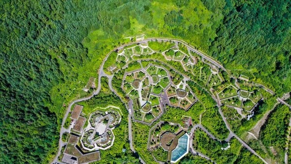 “짧게는 1~2개월, 길게는…” 행복과 추억 선물하고 떠난 아기 판다 푸바오, 격리 후 언제 다시 만날 수 있을까?