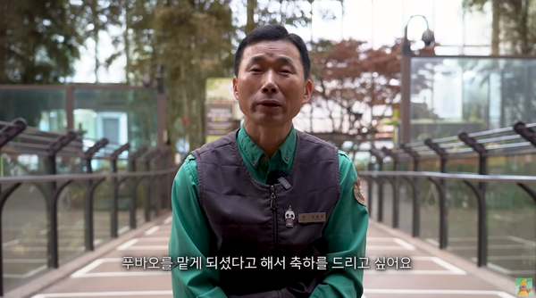 우리 푸바오 미워하지 마시고.. '푸바오 할부지' 강철원 사육사가 중국 사육사에게 꼭 부탁한 일에 참았던 눈물이 다시 흐른다