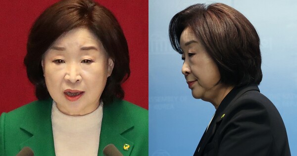 심상정 녹색정의당 원내대표가 11일 정계 은퇴를 선언했다. ⓒ뉴스1