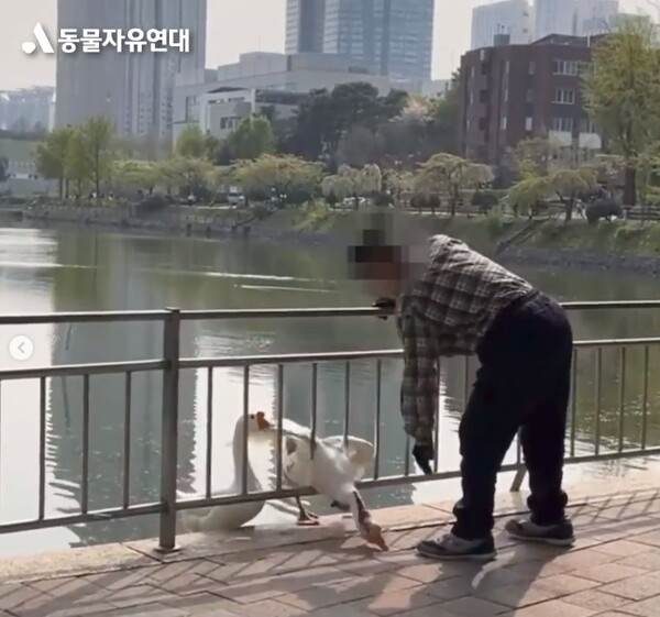 건구스를 폭행하는 모습 ⓒ동물자유연대 인스타그램