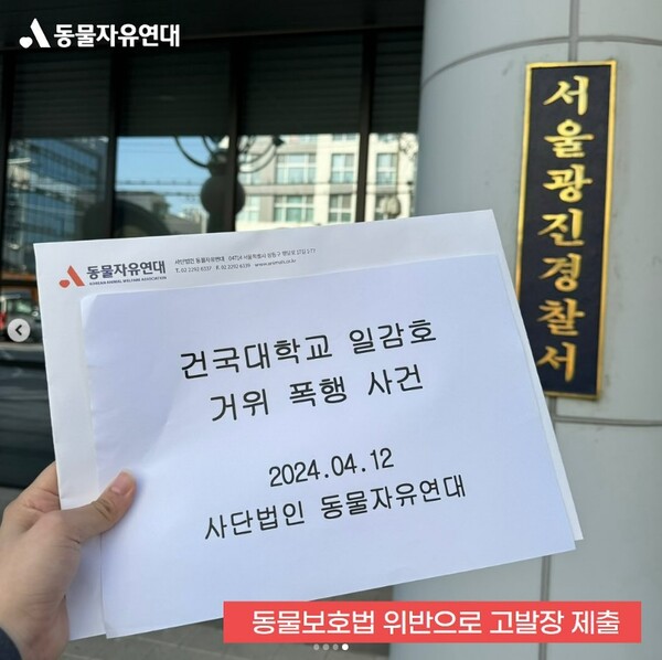 동물자유연대의 고발장 ⓒ동물자유연대 인스타그램&nbsp;