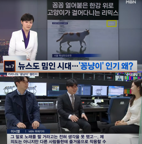 지난 22일 MBN 뉴스에 '꽁냥이 밈'이 보도됐다.&nbsp;ⓒMBN 뉴스 보도 화면 캡쳐