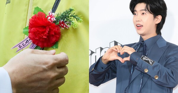 어버이날 카네이션 자료사진(좌), 가수 임영웅(우) &nbsp;ⓒ뉴스1&nbsp;