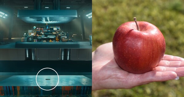 7일 공개된 아이패드 프로 광고 장면(좌), 사과 자료 사진(우)&nbsp;ⓒApple 유튜브/픽사베이&nbsp;