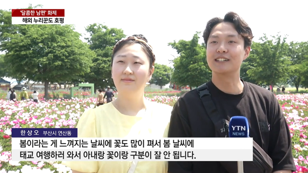 영상 '"아내와 꽃 구분 안 돼"...달콤한 남편 '인간 양산'도 자처 [앵커리포트] / YTN' 캡처. ⓒ유튜브 채널 'YTN'