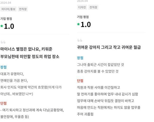 보듬컴퍼니 잡플래닛 리뷰.&nbsp;ⓒ잡플래닛