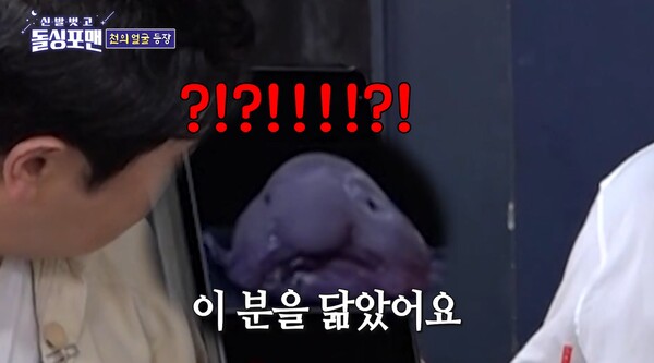 블로브피쉬 닮은꼴을 셀프 인정했다. ⓒSBS ‘신발 벗고 돌싱포맨’
