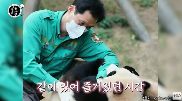 55kg까지 푸바오를 안아서 퇴근시켰던 송바오. ⓒ유튜브 채널 ‘살롱드립’