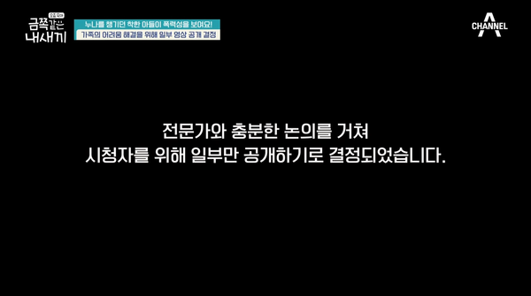 31일 방송된 채널A '요즘 육아 금쪽같은 내 새끼' 방송 장면 ⓒ채널A