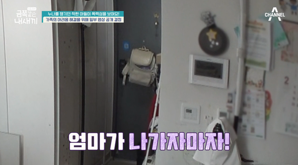 31일 방송된 채널A '요즘 육아 금쪽같은 내 새끼' 방송 장면 ⓒ채널A