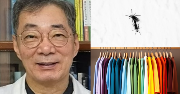 해충박사 이미지