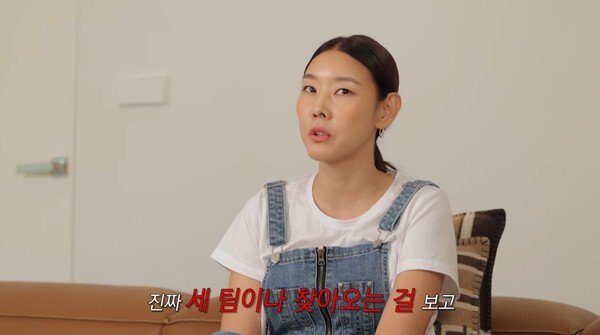 계속되는 무단침입에 울타리와 대문을 설치하지 않은 걸 후회했다. ⓒ유튜브 채널 ‘한혜진 Han Hye Jin’