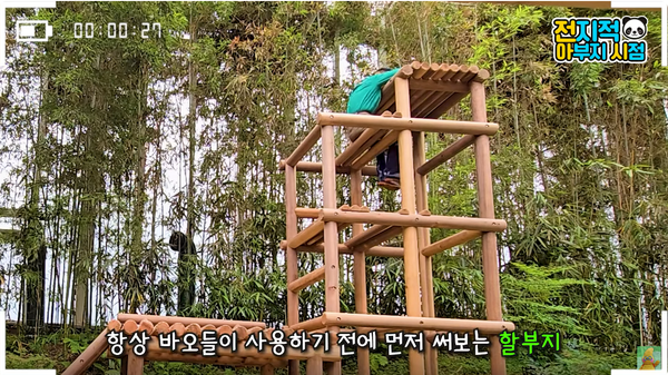 14일 유튜브 채널 '말하는 동물원 뿌빠TV' 영상 장면 ⓒ말하는 동물원 뿌빠TV&nbsp;