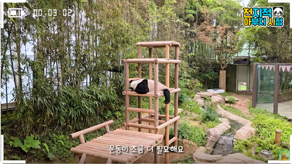 14일 유튜브 채널 '말하는 동물원 뿌빠TV' 영상 장면 ⓒ말하는 동물원 뿌빠TV&nbsp;