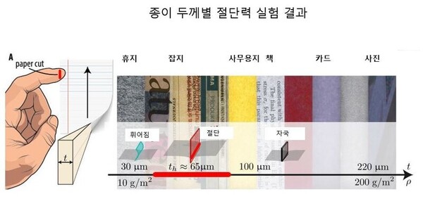 덴마크공대 연구진이 다양한 두께의 종이를 피부 대용물에 그어 본 결과. ⓒ피지컬리뷰E