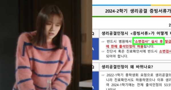 드라마 '간 떨리는 동거' 캡쳐/서울예대가 지난 12일 학교 누리집 공지사항에 게시한 문서. ⓒtvN/서울예대 누리집&nbsp;