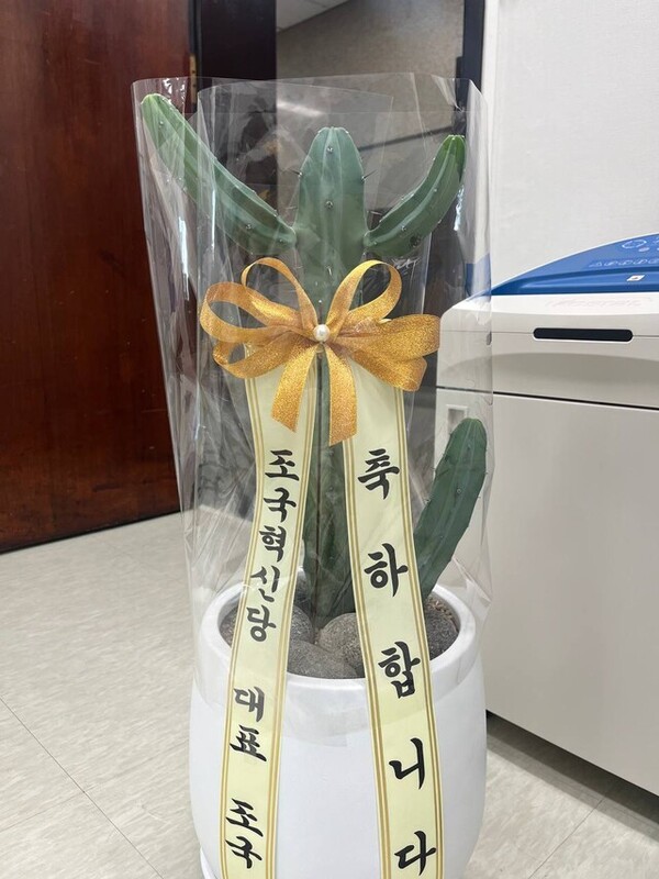 조국 조국현신당 대표가 이재명 더불어민주당 대표의 연임을 축하하며 보낸 선인장. ⓒ조국혁신당 제공