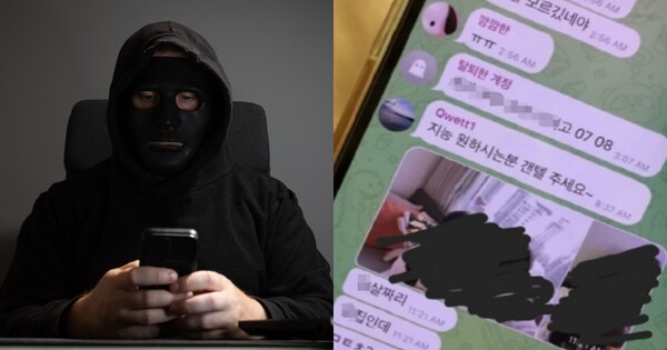 기사 이해를 돕기 위한 이미지(좌),&nbsp;텔레그램 딥페이크 성범죄물 대화방 캡쳐(우). ⓒAdobestocks, X
