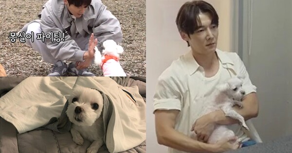 무지개병원 이미지