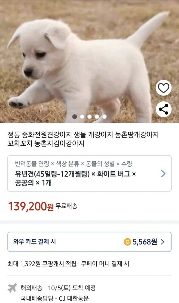 동물권단체 ‘케어’가 확보한 반려견 판매글 갈무리. ⓒ사진 케어 제공