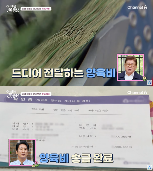 첫 양육비 ⓒ채널A